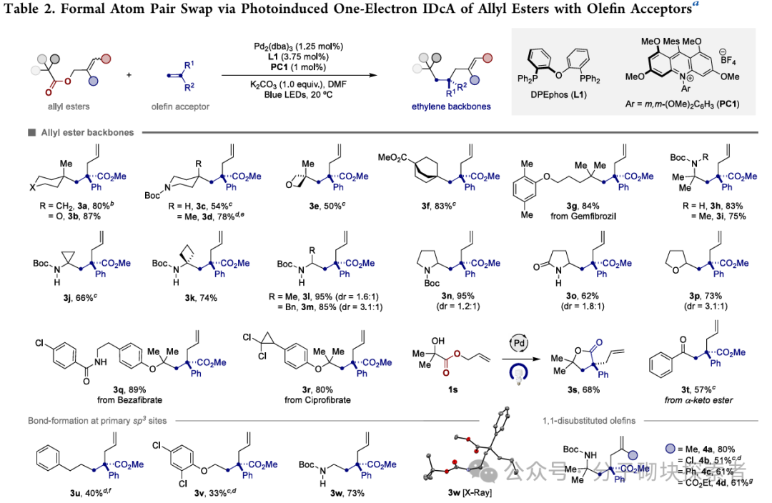 Photoinduced Decarboxylative Allylation: Dual Atom Substitution for sp3 Fragment Skeleton Editing