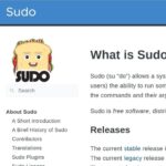 Vulnerability Alert | Local Privilege Escalation Vulnerabilities in Linux sudo