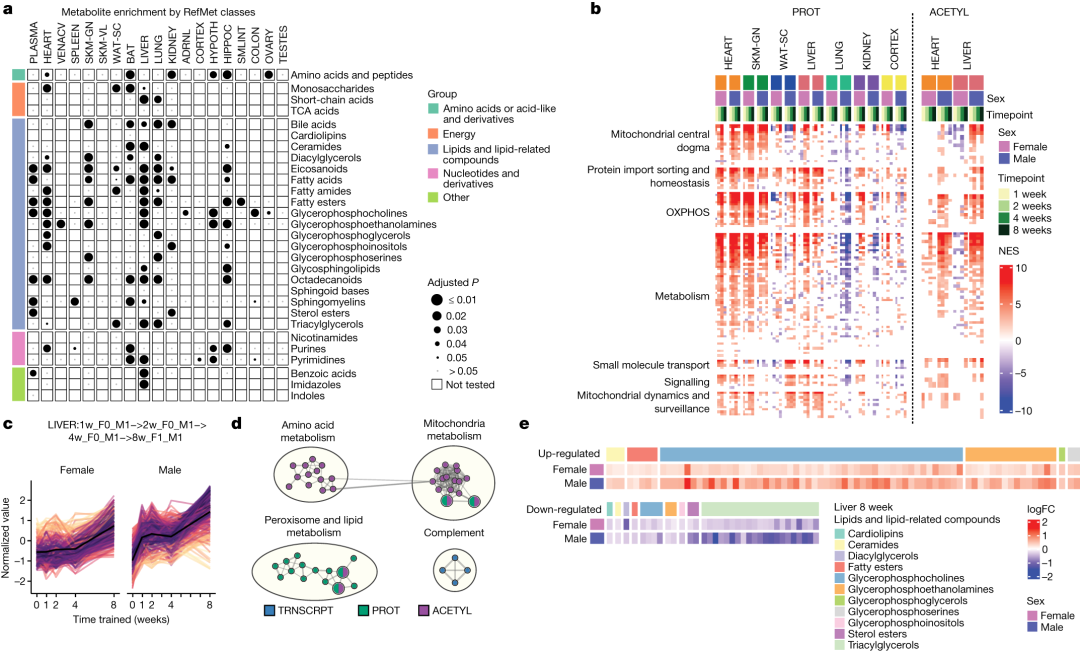 How to Use MATLAB to Retrieve All Illustrations from Nature (Including Images from 2023-2025)