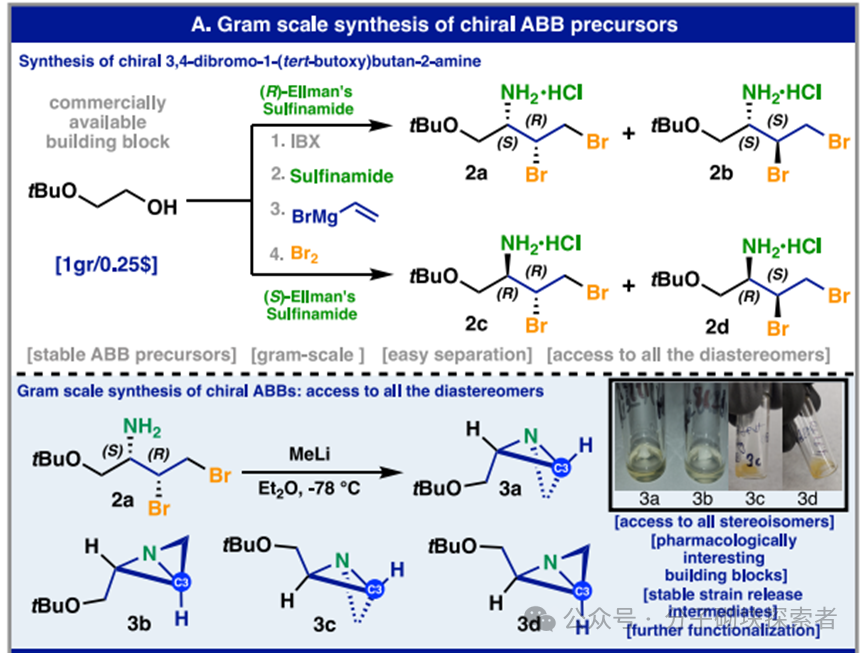 Synthesis of Stereocontrolled Azetidine Library via Strain-Release Functionalization of 1-Azabicyclobutanes