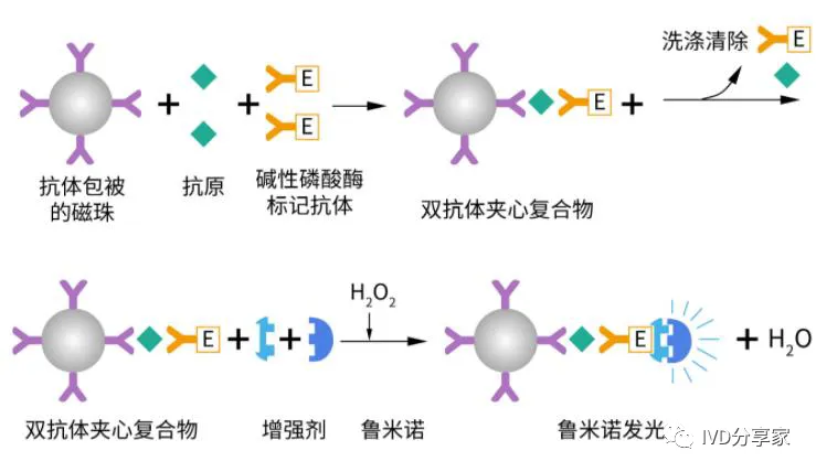 Principles of POCT Technology | Chemiluminescence, Biosensors, Microfluidics, Immunochromatography...