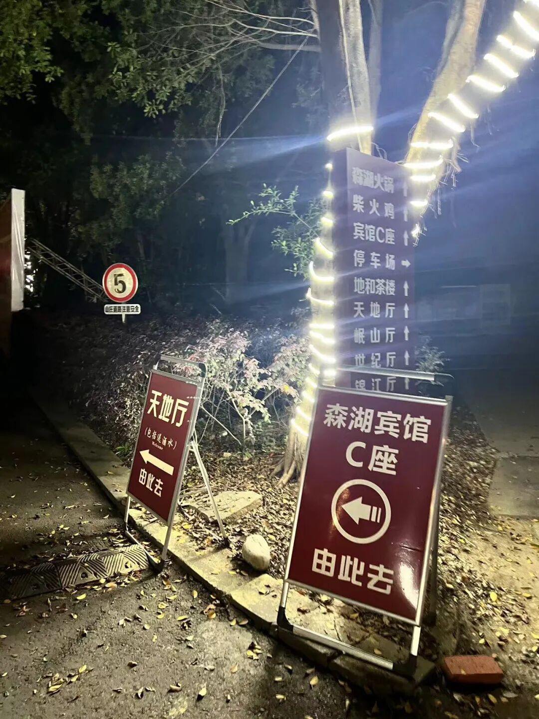 Reflections on the C License Examination