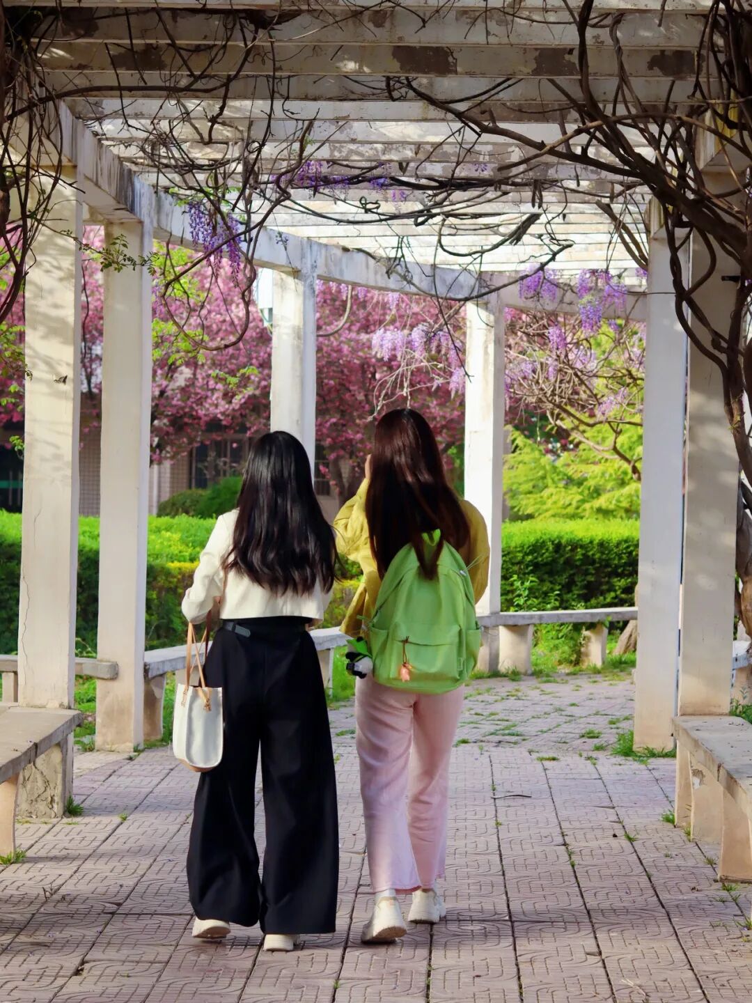 Campus Bluetooth at Xi'an Finance University: Have You Connected?