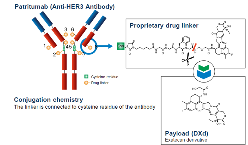 ADC Drug Advances in Non-Small Cell Lung Cancer