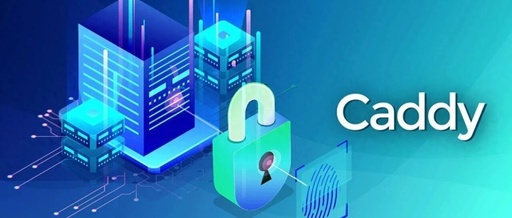 Enabling HTTP/3 on Caddy Server: How to Make Your Website Lightning Fast?