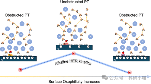 The Impact of Surface Oxygen Affinity on the Regulation of Alkaline HER Kinetics