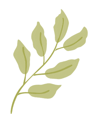 The Colorful Course: The Adventure of Stationery