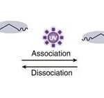 Circular 3D Printing of High-Performance Photopolymers through Dissociative Network Design