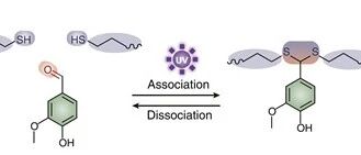Circular 3D Printing of High-Performance Photopolymers through Dissociative Network Design