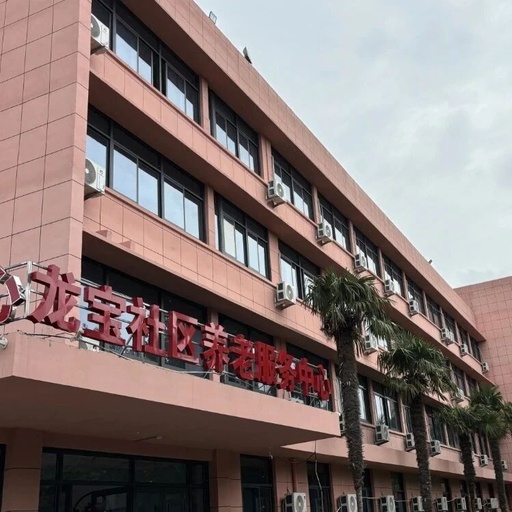 Embedded Elderly Care Initiates a New Model for the 'Silver Economy'