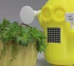 Hands-Free! Create a Simple Smart Watering System