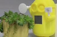 Hands-Free! Create a Simple Smart Watering System