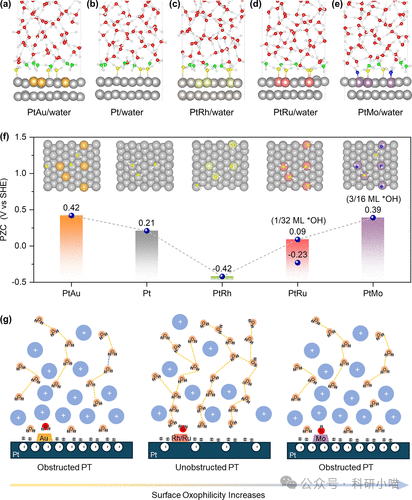 The Impact of Surface Oxygen Affinity on the Regulation of Alkaline HER Kinetics