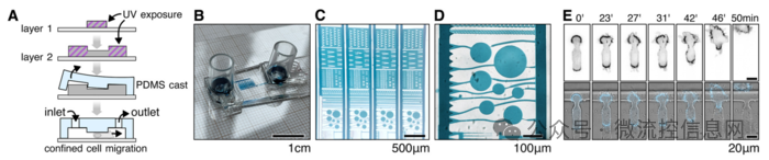 Lab Chip | 3D Printing + Standard Fluorescence Microscopy: Low-Cost Fabrication of Micron-Scale Biological Structures
