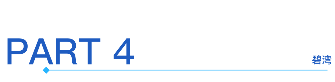 Interpretation of Rockchip (603893) 2024 Annual Report: Significant Growth in Integrated Circuit Revenue Drives Substantial Increase in Company Revenue and Main Business Profit