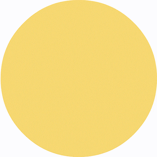 Understanding SurgRAW: Multi-Agent Workflow with Chain-of-Thought Reasoning for Surgical Intelligence