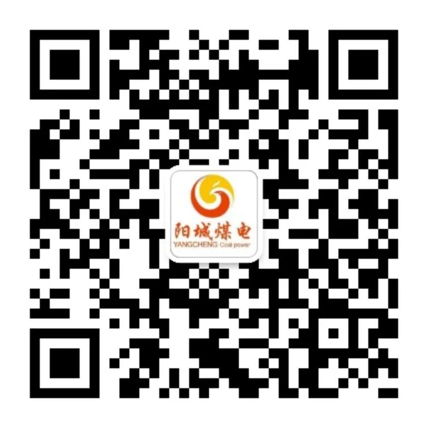 Wang Qijiang Conducts 'Embedded' Safety Law Enforcement Inspection at Yangcheng Coal Power