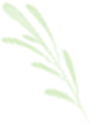 Recommended Reading: Genetic Regulation of Diurnal Flowering Time Differences in Rice: The Role of OsMYB8 and OsJAR1 Modules