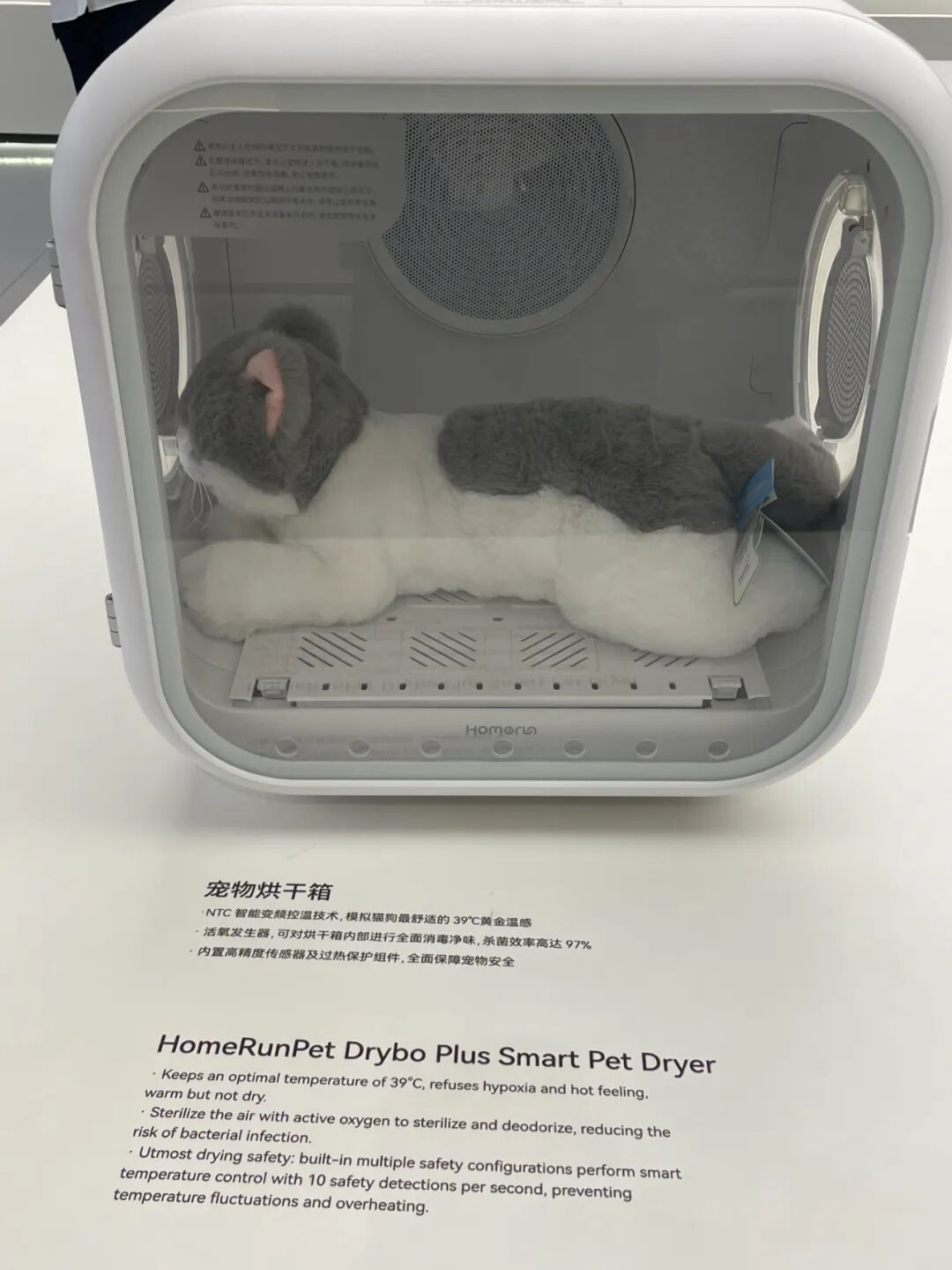 This Robot Received Praise from Elon Musk!