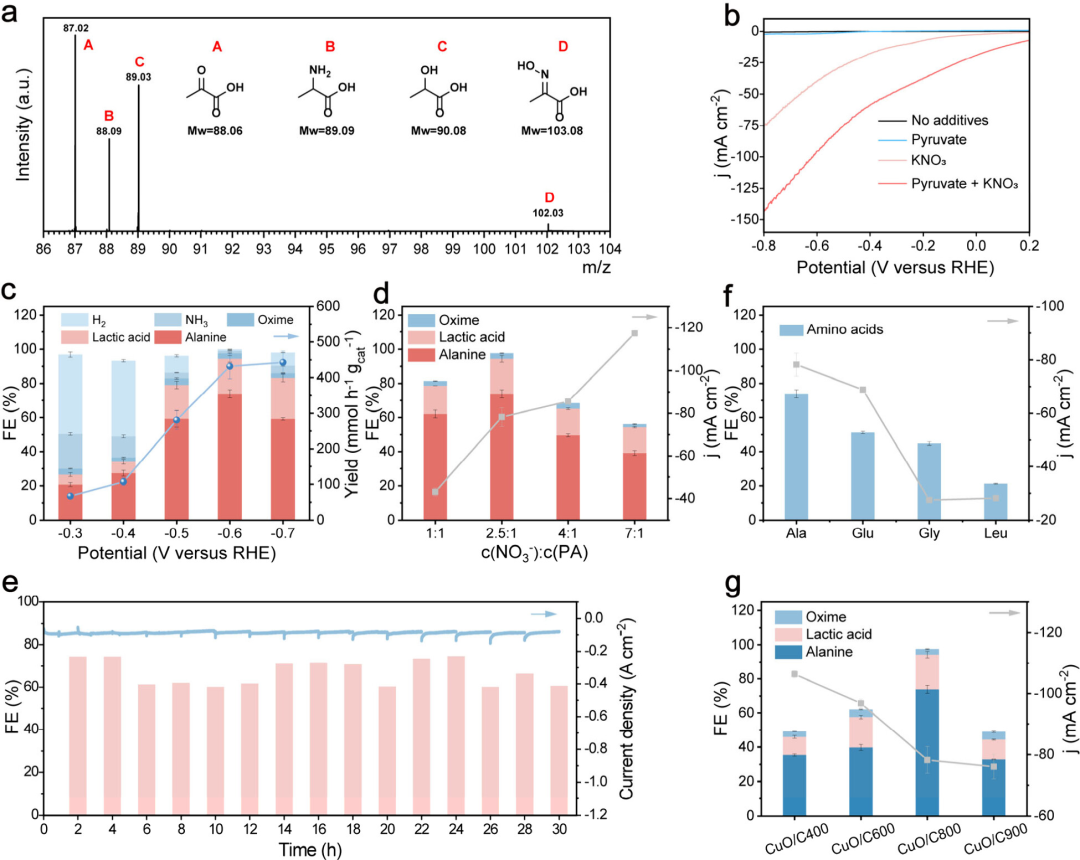 JACS: Dual Active Cu Sites for Cascade Electrocatalytic C-N Coupling to Synthesize Amino Acids