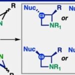 Synthesis of Stereocontrolled Azetidine Library via Strain-Release Functionalization of 1-Azabicyclobutanes
