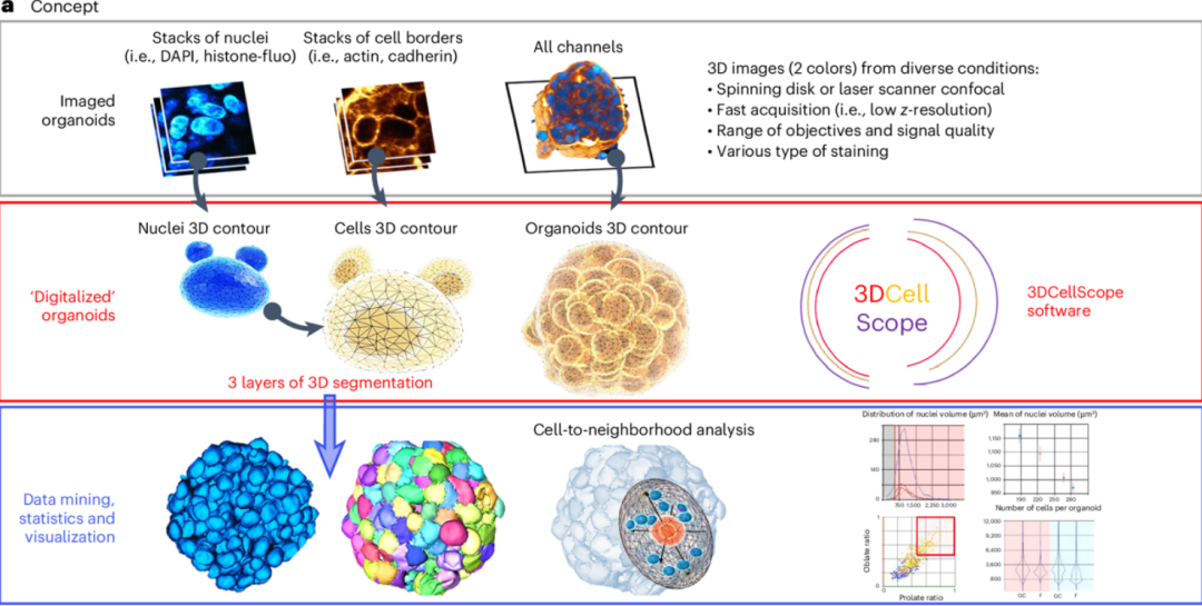 Industry Insights | Research Report on AI and Organoids and Organ-on-Chip Technologies