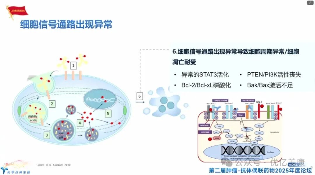 Exploring Solutions to ADC Drug Resistance
