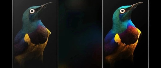 Why Smartphone Manufacturers Prefer OLED Screens Over LCD: An Analysis of Four Key Reasons