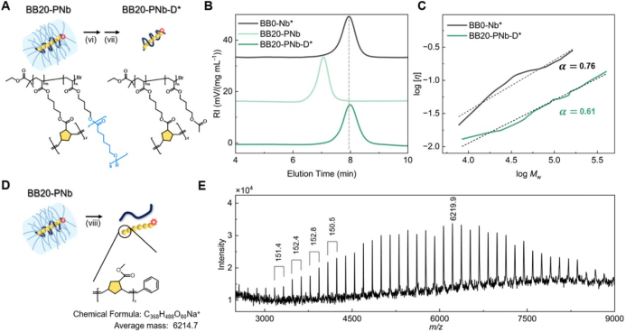 Single-Molecule Reactor Based on the Excluded Volume Effect of Bottlebrush Polymers