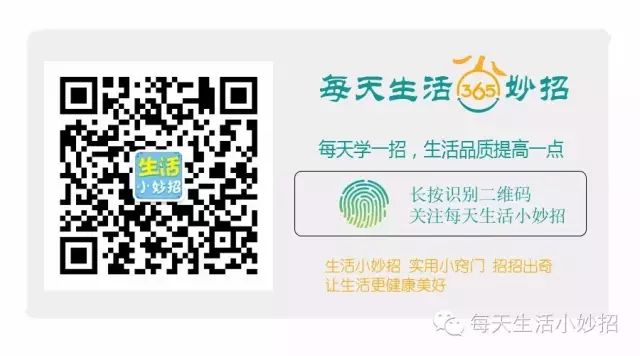 How Much Does It Cost to Replace a Broken Phone Screen? Differences Between Official and Third-Party Repairs