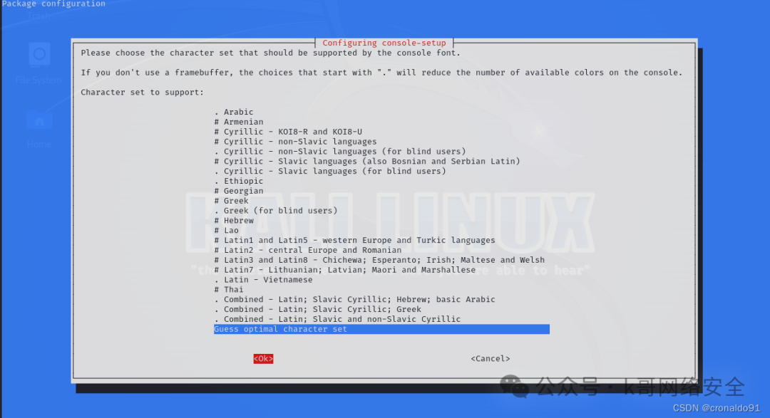 Linux System Administration: Installing Kali Linux on a Virtual Machine