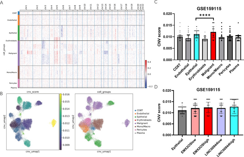 A Novel Stemness-Related lncRNA Signature Predicts Prognosis, Immune Infiltration, and Drug Sensitivity in Clear Cell Renal Cell Carcinoma