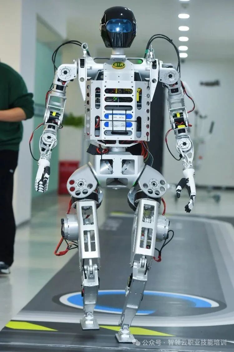 When PLC Meets Humanoid Robots: The 'Brain-Body Collaboration' Revolution in Industrial Automation by 2025
