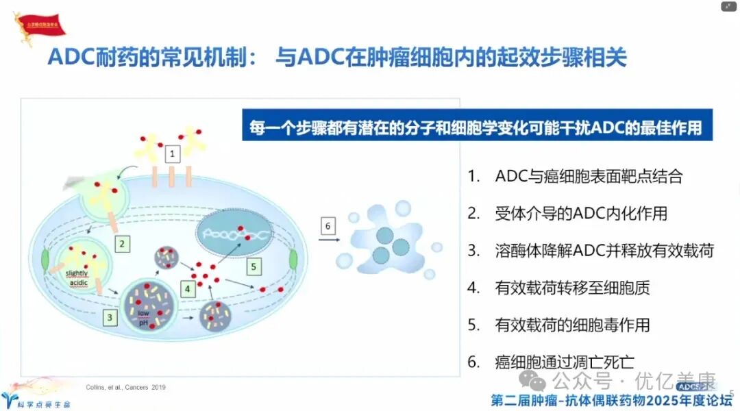 Exploring Solutions to ADC Drug Resistance