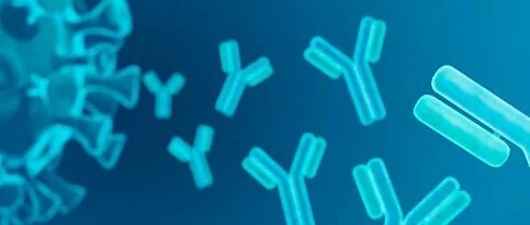 The Development History of ADC Over 40 Years (Part 3)