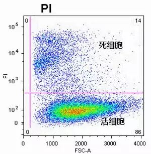 Cell Viability Assessment Using PI, 7-AAD, and DAPI in Flow Cytometry
