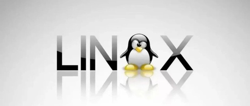 30-Day Challenge: In-Depth Study of Linux Server Program Development