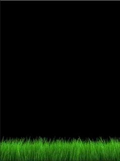 The Increasing Use of C++ in Embedded Linux Development