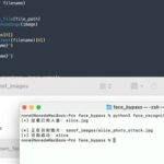 Next Generation Social Engineering: Bypassing Facial Recognition Attacks