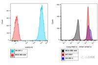 Non-Clinical Research Guidelines for Antibody-Drug Conjugates (ADCs)
