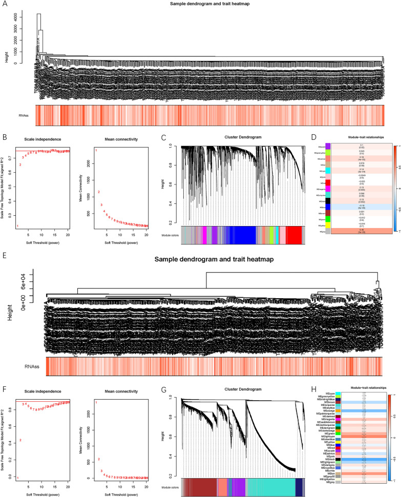 A Novel Stemness-Related lncRNA Signature Predicts Prognosis, Immune Infiltration, and Drug Sensitivity in Clear Cell Renal Cell Carcinoma