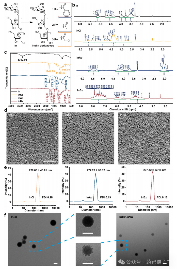 ACS Nano (IF=16.0): Computer-Guided Discovery of Polysaccharide Derivatives as Adjuvants for Cancer Immunotherapy Nanoparticle Vaccines