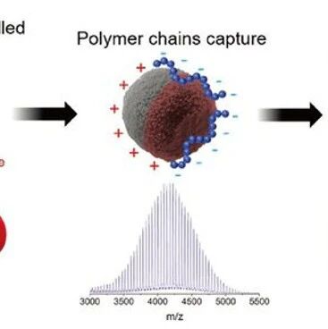 News | Micro Robots for Polymer Degradation; Electro-Controlled Adhesive Hydrogels for Climbing Robots; Georgia Tech's "Aggregated Particle Robots"