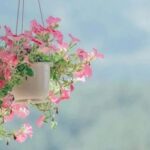 ICC Opinion: Can a Discrepancy Fee Be Deducted Without Issuing a Refusal Notice? R820 (TA795rev)