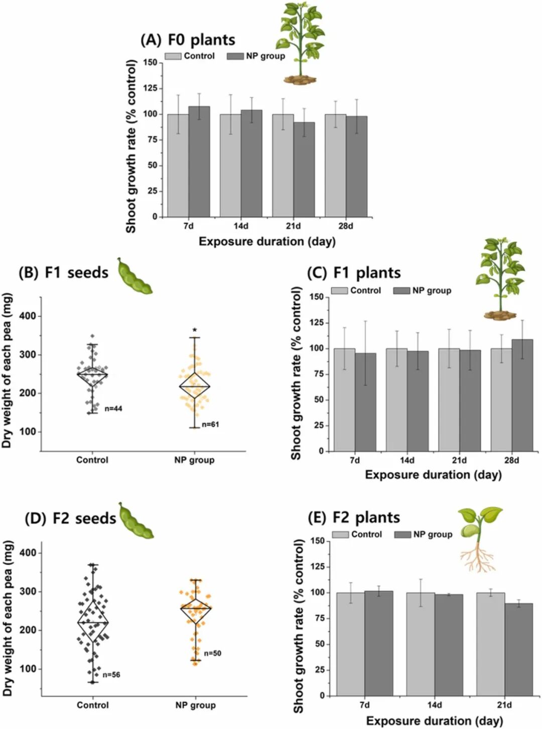 Grandparental Transfer of Nanoplastics in Pea Plants (Pisum sativum): Transmission from Soil to Third Generations