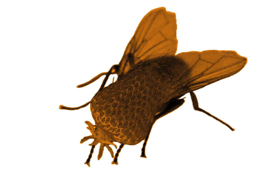 The Dance of Improvisation: The Unity of Body Awareness in Creation, Performance, and Appreciation