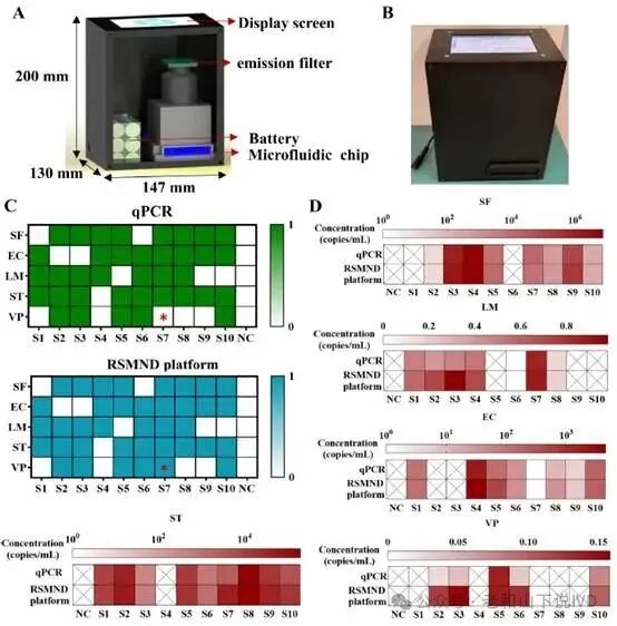 Wide Dynamic Range Multiplex Digital CRISPR Chip for Absolute Quantification of Nucleic Acids