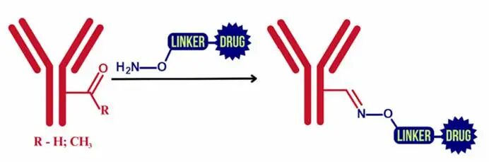 ADC and Click Chemistry