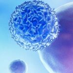 TF ADC Competition Accelerates: Zai Ding Files for Cervical Cancer Approval, Xin Nuo Wei Launches Phase III for Pancreatic Cancer