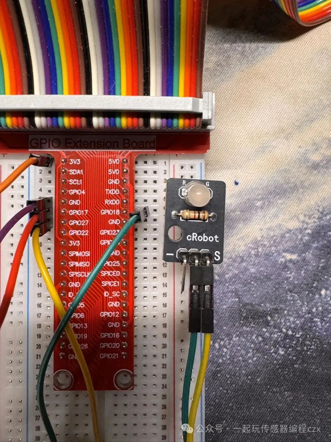 10. Reed Switch Sensor